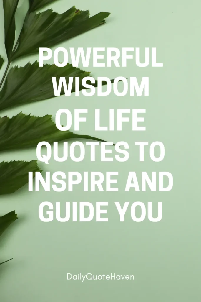 100 Wisdom of Life: Lessons That Shape Our Journey